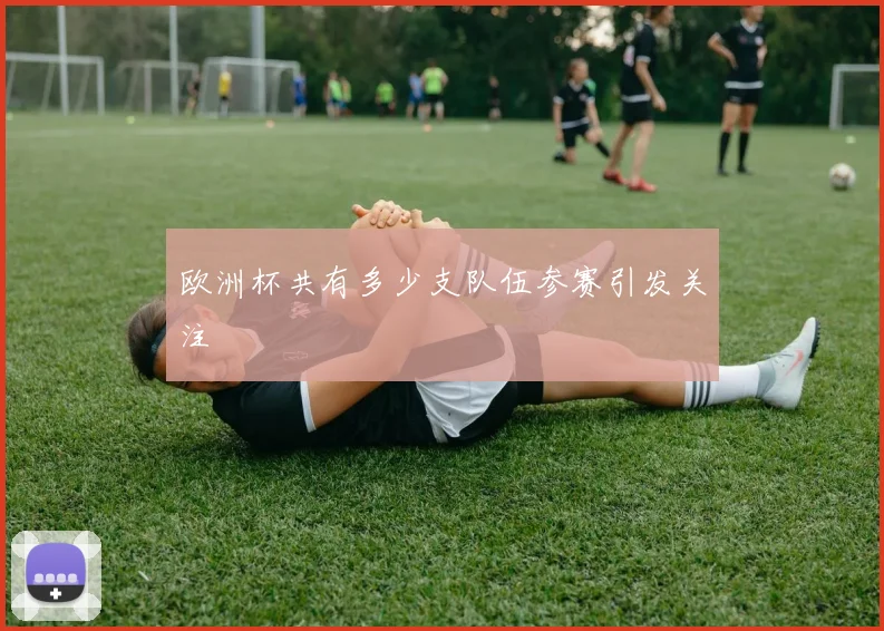 欧洲杯共有多少支队伍参赛引发关注