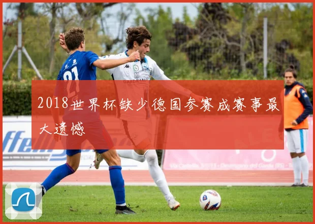2018世界杯缺少德国参赛成赛事最大遗憾